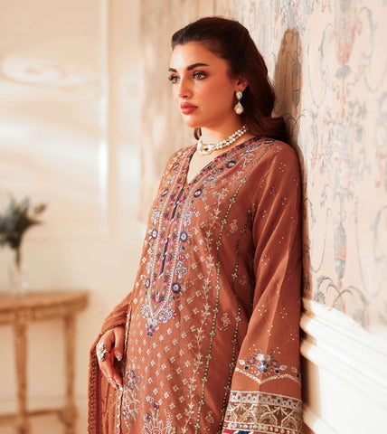 Aangan by Ramsha | Unstitched Rawsilk Vol-II Collection - 2025 AA-205