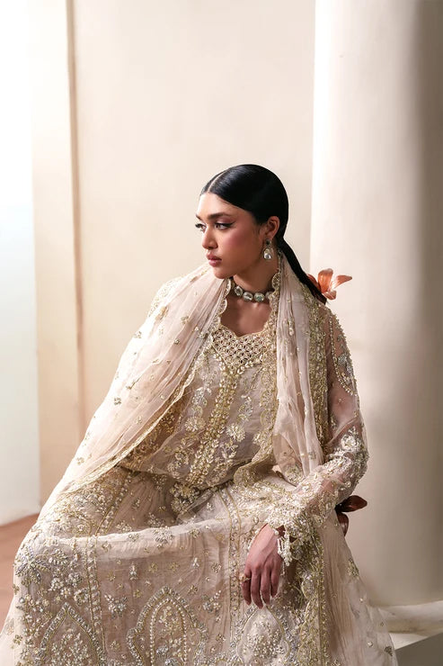 Starlit Jewels by Emaan Adeel | Unstitched Embroidered Festive Formal Collection - 2026 (HOWLITE)