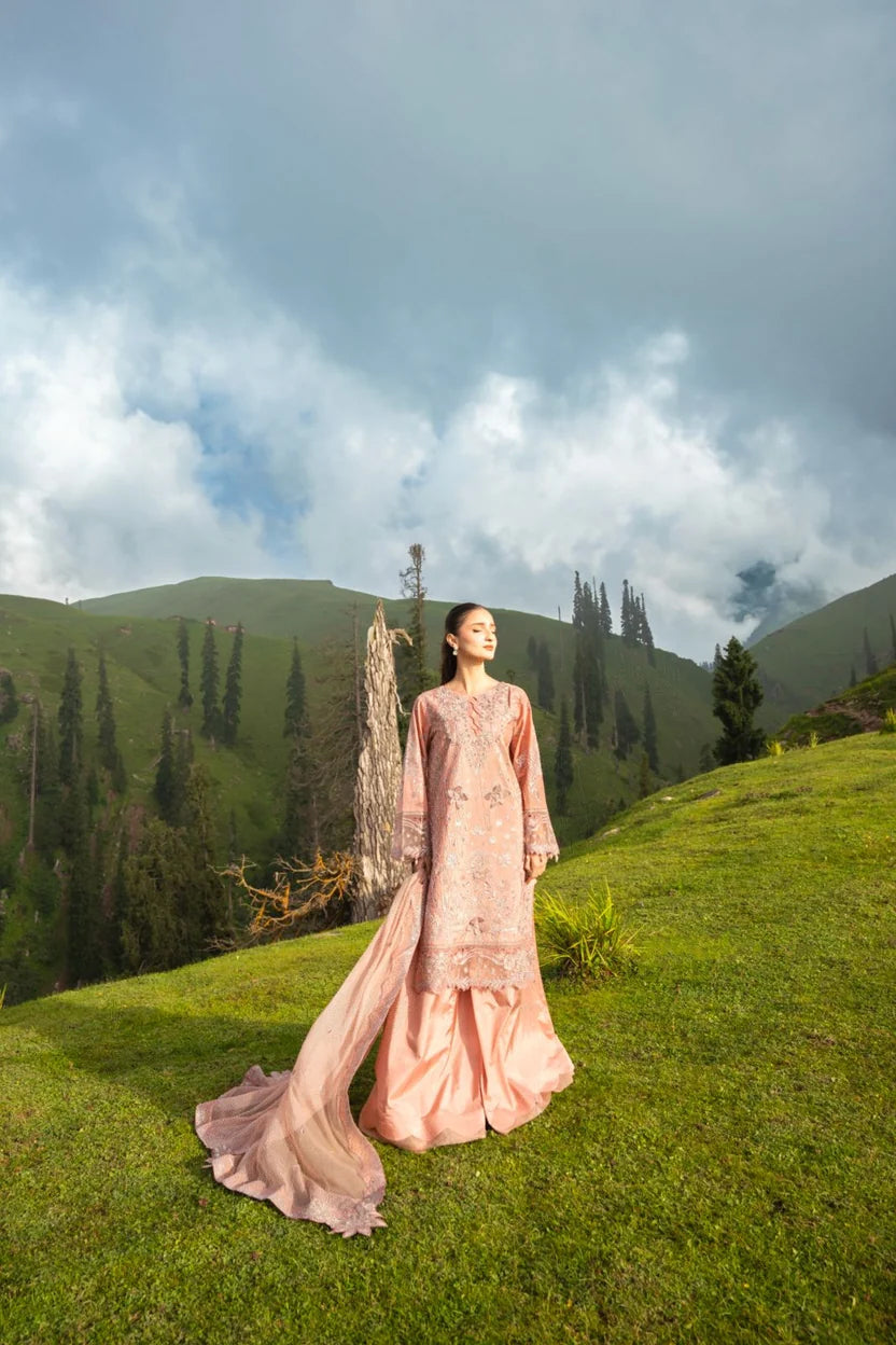 Dastaan by Zebtan | Unstitched Embroidered Formal Collection - 2026 (D-04)