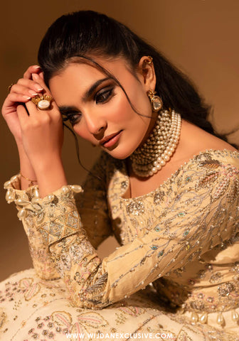 Aylin Unstitched Silk Hand Work Collection (SILKN BEIGE)