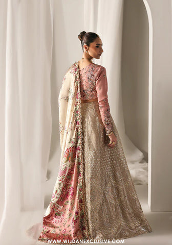 Serein Silk Collection by Emaan Adeel (SOFT GLIMMER)