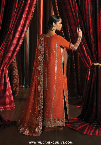 Divani by Afrozeh | Unstitched The Silk Wedding Edit - 2025 (AAFREEN)