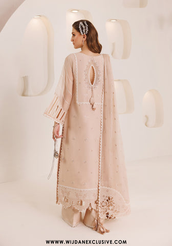 Dhagaay Unstitched Chiffon Collection - 2025 by Alizeh DHG-5036 EHAL