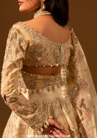 Aylin Unstitched Silk Hand Work Collection (SILKN BEIGE)