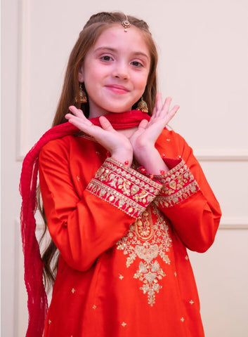 Shanzey Stitched Luxe Embroidered Silk Edit Collection - 2025 (RUST)