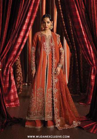 Divani by Afrozeh | Unstitched The Silk Wedding Edit - 2025 (AAFREEN)