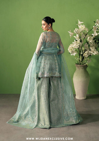 Pehli Nazar Unstitched Festive Collection - 2025 by Ayzel (ZARBAF)