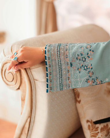 Aangan by Ramsha | Unstitched Rawsilk Vol-II Collection - 2025 AA-204