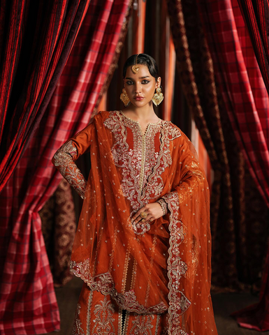 Divani by Afrozeh | Unstitched The Silk Wedding Edit - 2025 (AAFREEN)