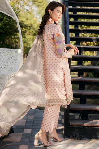 Charizma C Prints - Printed Lawn Collection'25 Vol-01 D-07