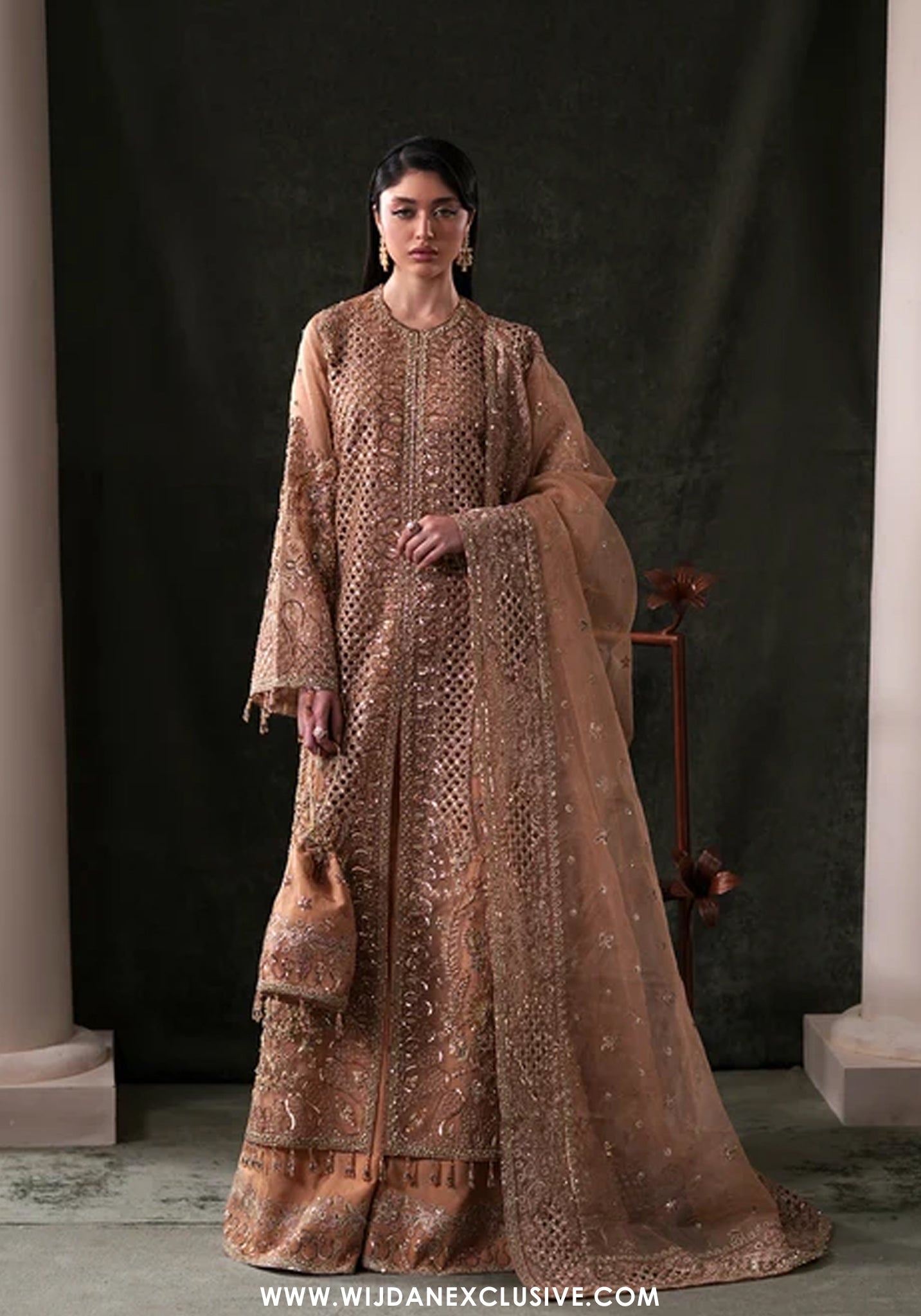 Starlit Jewels by Emaan Adeel | Unstitched Embroidered Festive Formal Collection - 2026 (HESSONITE)