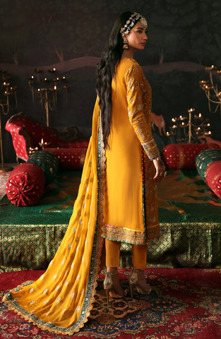 Devdas Exquisite Formal Wear by Emaan Adeel D-07 ROSHAN JAHAN