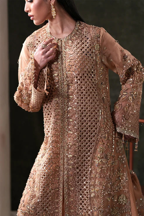 Starlit Jewels by Emaan Adeel | Unstitched Embroidered Festive Formal Collection - 2026 (HESSONITE)
