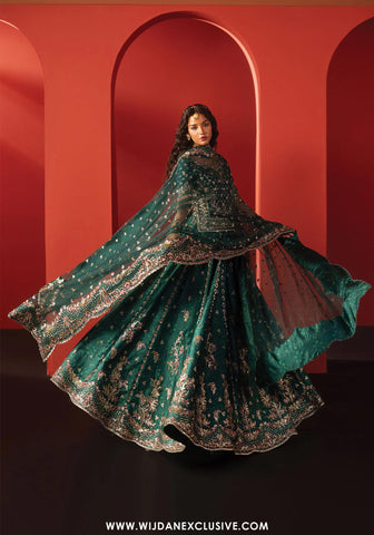 Divani by Afrozeh | Unstitched The Silk Wedding Edit - 2025 (AFSAR)