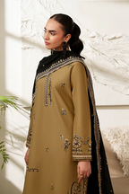 RajBari Stitched Eid Pret Exclusive Embroidered 3PC Collection - 2026 (AYLA)
