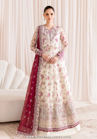 Xenia Unstitched Formal Vol-02 Collection - 2025 (DAMEERA)