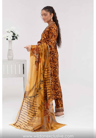 Aleezay Superior Airjet Bana Dora Lawn Collection'25 by Fatima's D-09