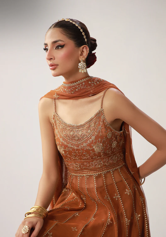 Layaan by Asim Jofa | Unstitched Festive Formal Collection - 2025 AJULO-01