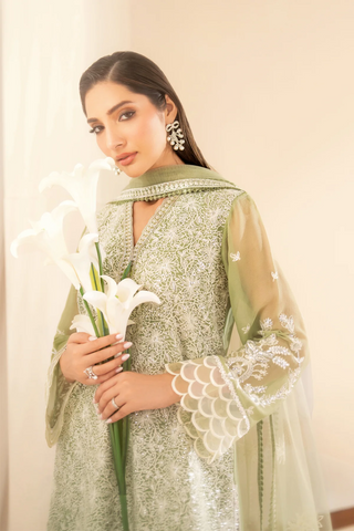Xenia Unstitched Formal Vol-02 Collection - 2025 (NORA)
