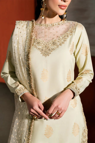 Neeshay Stitched Raw Silk Collection - 2025 RS-04 PISTA