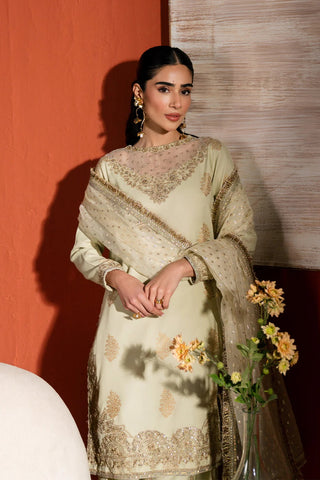 Neeshay Stitched Raw Silk Collection - 2025 RS-04 PISTA