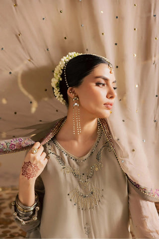 Nureh Mukeshkari Unstitched Embroidered Mukesh Chiffon Collection - 2025 MK-17