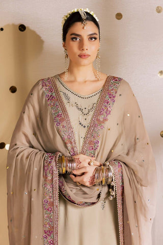 Nureh Mukeshkari Unstitched Embroidered Mukesh Chiffon Collection - 2025 MK-17