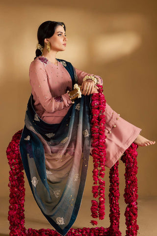 Nureh Mukeshkari Unstitched Embroidered Mukesh Chiffon Collection - 2025 MK-14