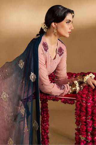 Nureh Mukeshkari Unstitched Embroidered Mukesh Chiffon Collection - 2025 MK-14