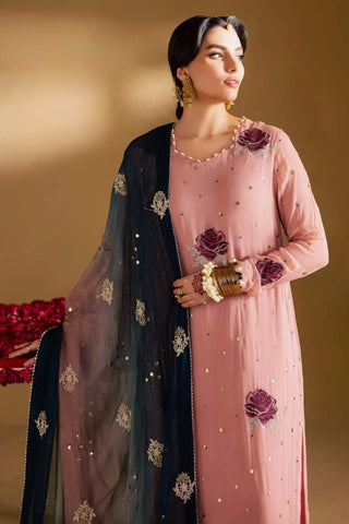 Nureh Mukeshkari Unstitched Embroidered Mukesh Chiffon Collection - 2025 MK-14