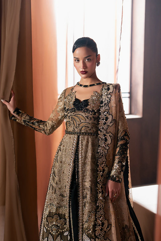 Hayat by Afrozeh | Unstitched Wedding Collection - 2025 (RAYYAN)